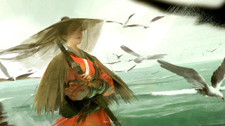 Woman red dress bird seagull - over her free wallpaper