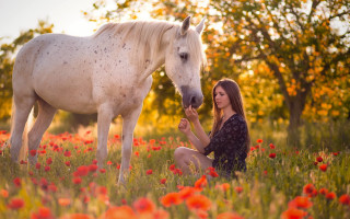 Woman horse flower field autumn - andor basch free wallpaper for desktop