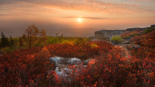 Sunset mountain rocks red bushes - a foggy sky free wallpaper for desktop