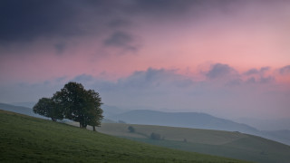 Lone tree grassy hill cloudy 3 - a lone tree free wallpaper