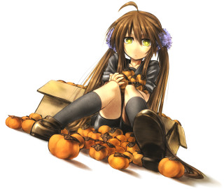 Girl oranges food basket kneehighs - context art free wallpaper
