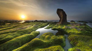 Mossy rock ocean sunset reflection - a large rock free wallpaper