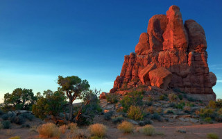 Desert rock formation trees bushes - tree and bushes free wallpaper