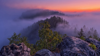 Mountain foggy forest sunset pink - foggy free wallpaper for desktop