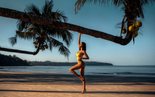 Woman beach palm sunset fireworks - an art deco sculpture free wallpaper