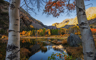 Lake mountains forest autumn leaves - ansel adams free wallpaper