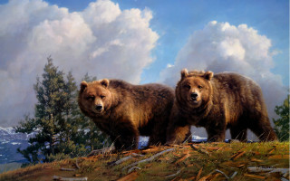 Bears hill cloudy sky trees - brothers hildebrandt free wallpaper
