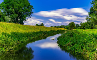 River green hill trees lake - a lush green hillside free wallpaper