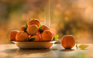 Bowl oranges leafy branch still 2 - the table free wallpaper for desktop