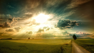 Dirt road field tree sunbeam - a sunbeam in the distance free wallpaper