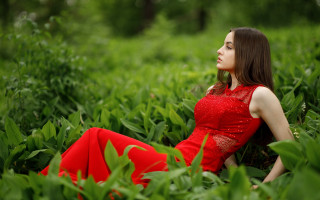 Red dress sitting in field - daphne mcclure free wallpaper