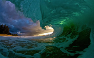 Large wave sunset ocean tree - amazing free wallpaper