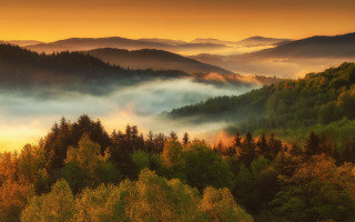 Foggy forest sunset mountains lake - a sunset in the distance free wallpaper for desktop