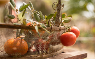 Basket tomatoes oranges outdoor sunny - a table outside free wallpaper