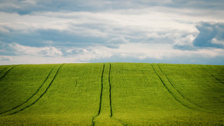 Field sky grass clouds beach - bernd fasching free wallpaper