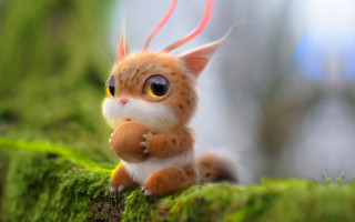 Orange cat red ribbon mossy - a mossy surface free wallpaper