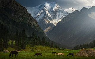 Horses grazing mountains clouds outdoors - the sky above them free wallpaper