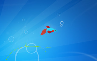 Red fish flying over water - blue sky free wallpaper