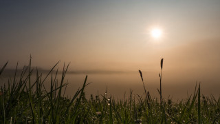 Sunshine water grass mountain forest - a foggy sky in the background free wallpaper