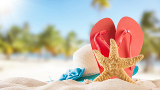 Flipflops starfish beach sand trees - cedric seaut free wallpaper for desktop