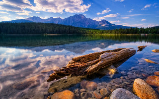 Log shore lake mountains blue - a log free wallpaper for desktop