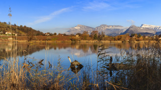 Lake birds mountains snow matte - landscape free wallpaper for desktop
