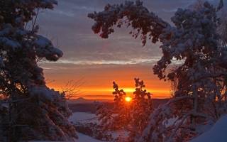 Sunset snowy forest distant sun - a snowy forest free wallpaper for desktop