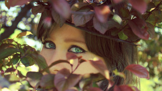 Woman green eyes hiding behind - behind a tree branch free wallpaper