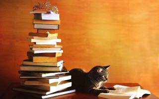 Cat table books lamp crown - a crown free wallpaper for desktop