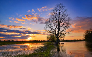 Tree water sunset sky clouds - arthur quartley free wallpaper