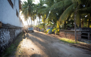 Car palm trees building matte - a van free wallpaper