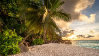 Beach palm sunset clouds rocks 2 - a few rock free wallpaper for desktop