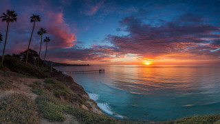Sunset ocean palm trees pier - colorful cloud free wallpaper