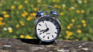 Clock rock flower field bokeh - a rock in front free wallpaper for desktop