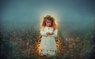 Little girl flower field halo - a halo free wallpaper