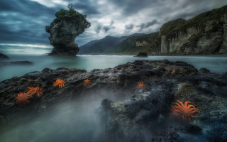 Rock formation sea stars cloudy - the ocean shore free wallpaper