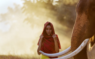 Woman elephant red shawl sumatraism - an elephant free wallpaper