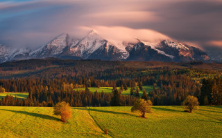 Mountain range trees field cityscape - artur tarnowski free wallpaper