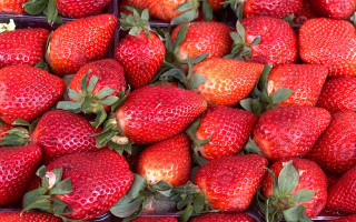 Strawberry basket closeup food berry - berry free wallpaper