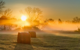 Hay bales foggy sunset volumetric - volumetric light free wallpaper