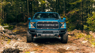 Blue truck forest dirtroad log - esaias boursse free wallpaper