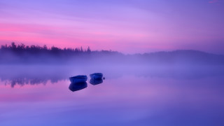 Boats foggy sunset trees mountains - foggy free wallpaper