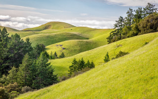 Grassy hill trees cloudy sky 2 - a grassy hill free wallpaper