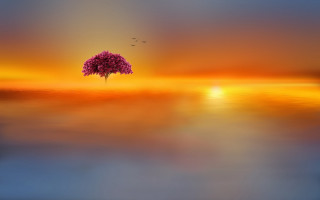 Tree sunset bird water fantasy - over the water free wallpaper