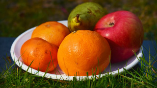Fruit plate grass apples oranges - ground free wallpaper