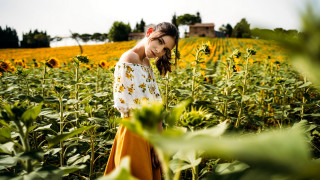 Sunflower field woman house autumn - andrea orcagna free wallpaper