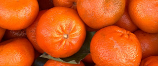 Orange pile leaves top bolwert - a pile of oranges free wallpaper