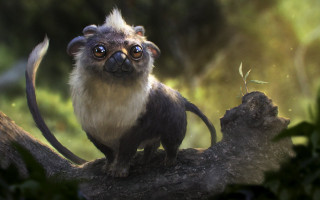 Monkey tree branch furry animal - a monkey free wallpaper