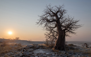 Rocky tree sunset mountains moon - a rocky area free wallpaper for desktop