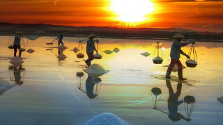 Beach sunset ecological impressionist photograph - top of a beach next free wallpaper